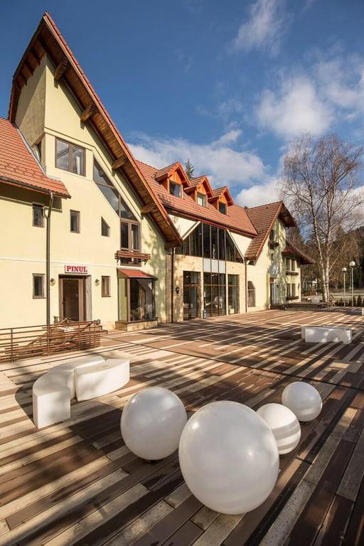 Hôtel Vila Pinul Si Mesteacanul à Poiana Brasov Extérieur photo
